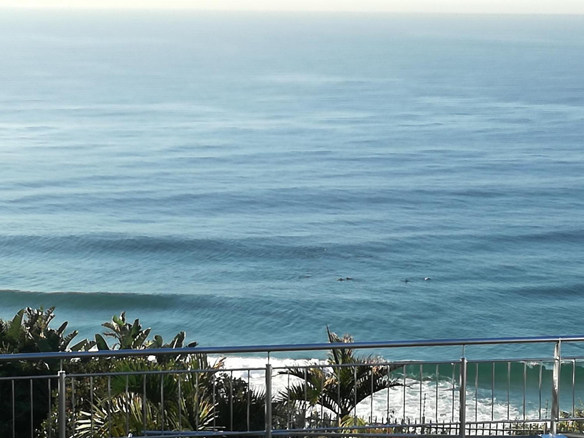 Dolphin Point B&B Durban Esterno foto